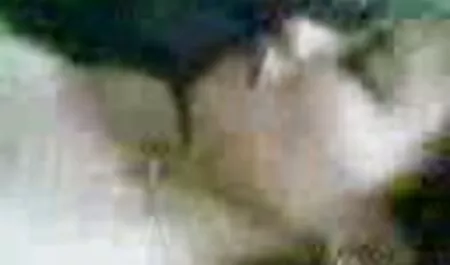 熱い成熟したslut dildoingと拳のヤードの猫 女性 アダルト イケメン