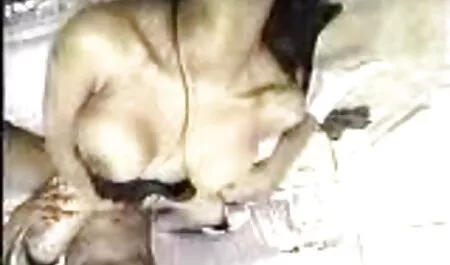 ブルネットの女の子のストリップショーと堕落し、男のディックので、彼女の猫の成長を置き換える エロ 無料 イケメン