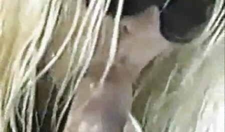 既婚男性への夫 エロ 動画 アニメ イケメン