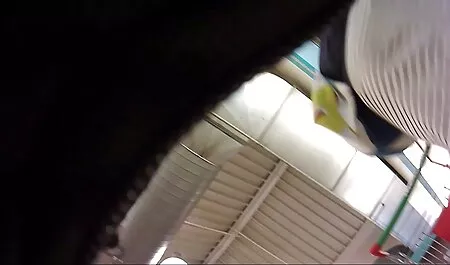 ポルノコンパイルで雌犬の猫を舐める巨乳の成熟した えっち な 動画 イケメン