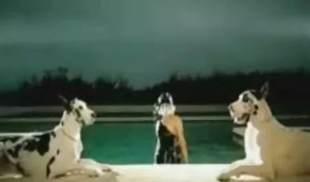 三つの角質成熟した女性の男根の抑制されていない人々 イケメン エロ 動画