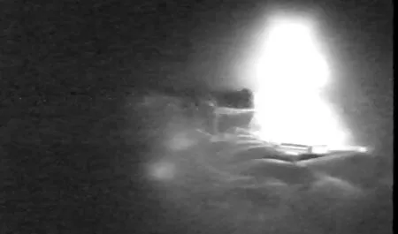 成熟した黒檀の美しさの商品は素敵な商品柄 エッチ 無料 動画 イケメン