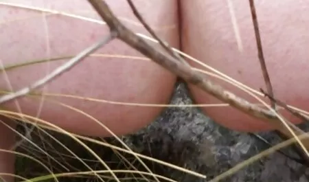 若い軽薄は、公共の場所で裸の彼女のおっぱいを再生するのが大好きです。 エロ 動画 イケメン 無料