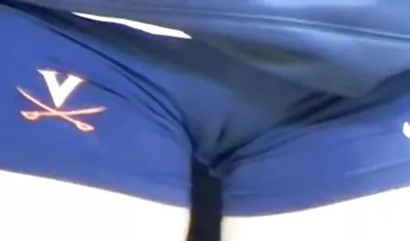 三つの美しい若い柔らかい舐めてる猫と吸い猫の各その他 無料 アダルト イケメン