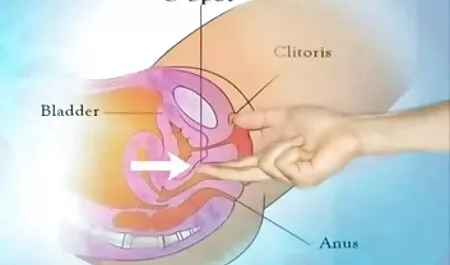 ブロンドは塩の代わりに台所で隣人と性交する エロ 動画 美男 美女